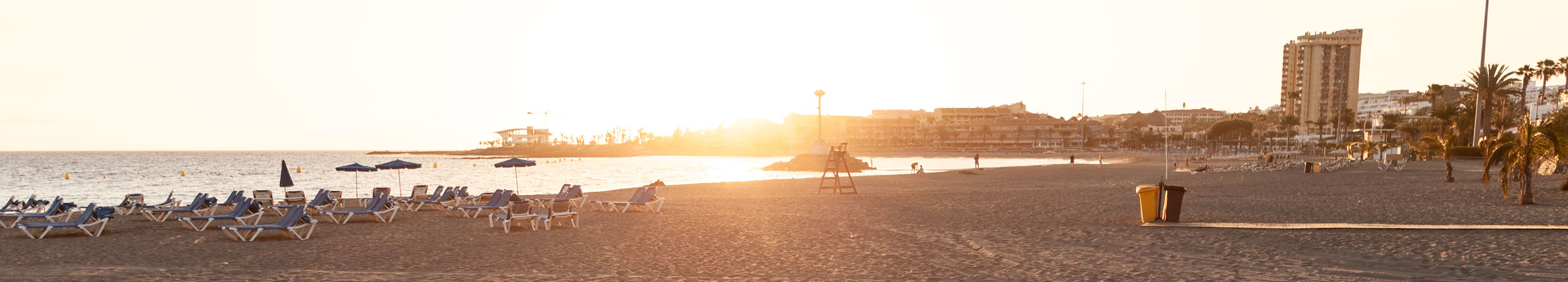 banner1